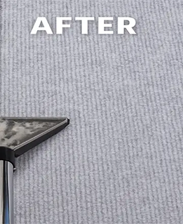 After professional carpet cleaning