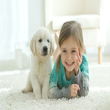 Eco Friendly Carpet Cleaning