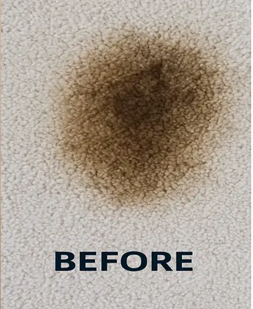 Carpet Stains Before Professional Treatment Cypress TX